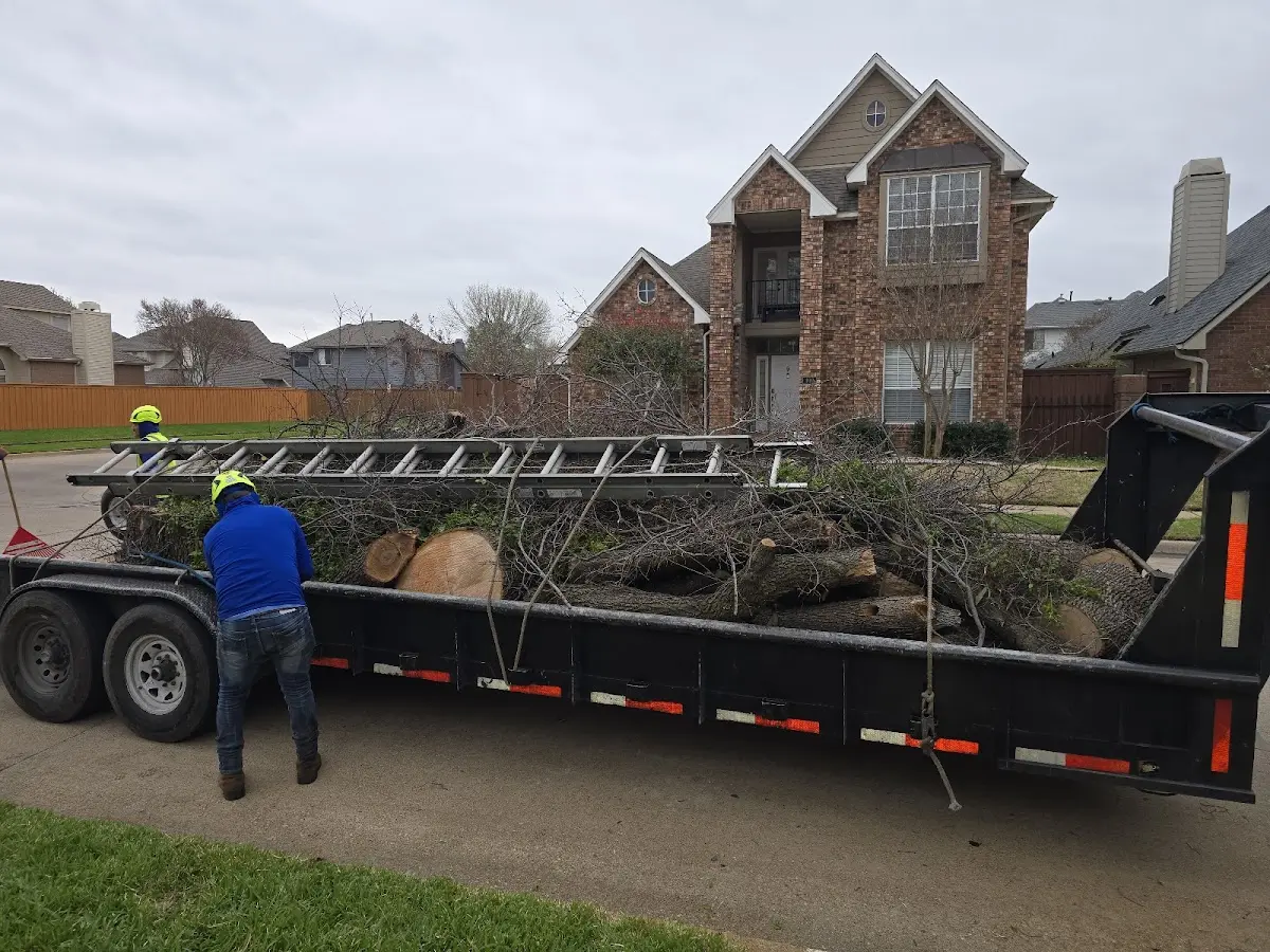 Expert Lot Clearing with proper safety equipment in Ambia